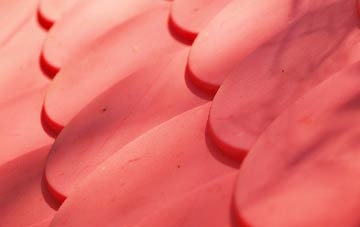 Bantaskin plastic roof costs